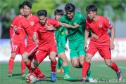 NG28- 霍芬海姆U19梯队夺冠，青训成果备受瞩目  
